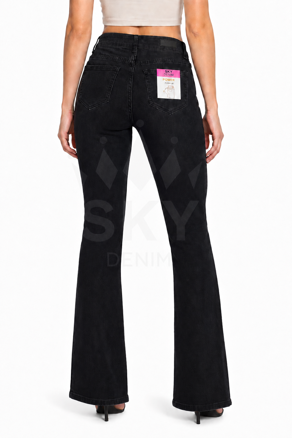 CURVY 15